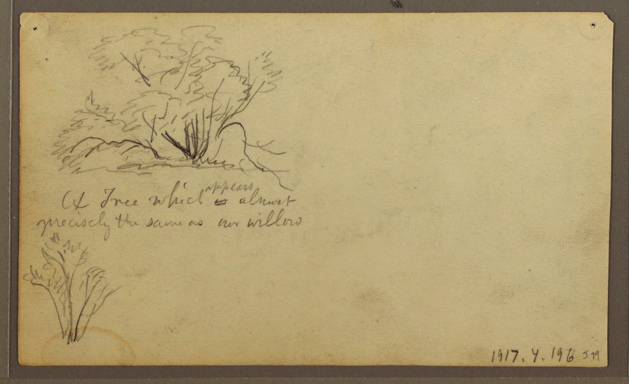 绘画，《哨所上的小屋》，厄瓜多尔瓜亚基尔，1857 年 5 月 作者 弗雷德里克·埃德温·丘奇