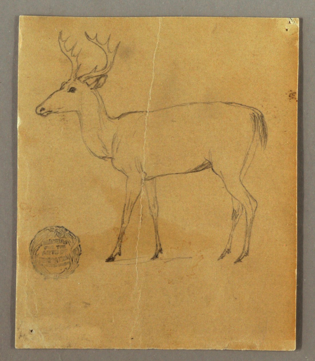 素描，站立的雄鹿，约 1850 年 作者 弗雷德里克·埃德温·丘奇