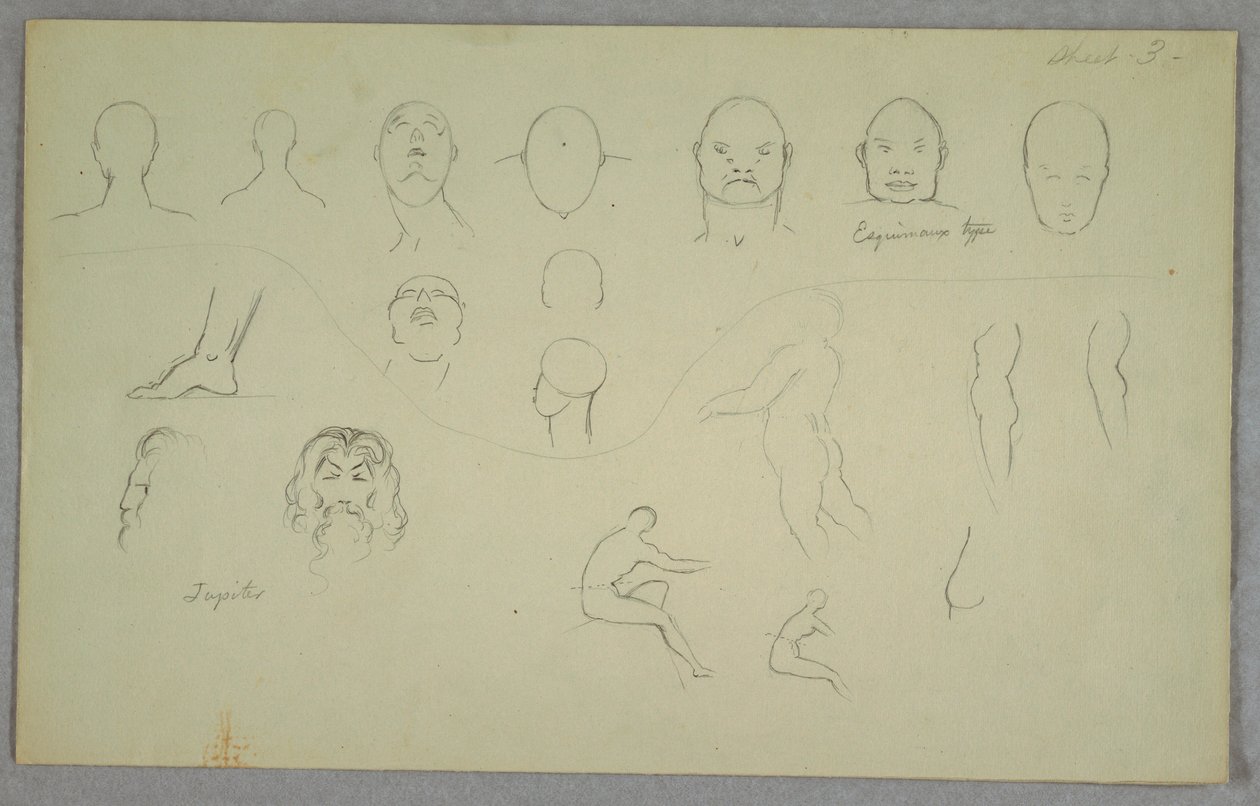 素描，解剖研究，1865-70 年 作者 弗雷德里克·埃德温·丘奇