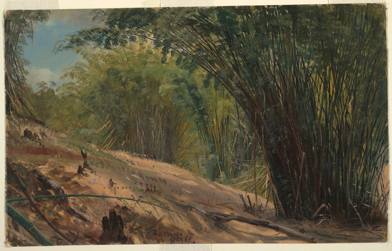 绘画，牙买加竹林，1865 年 作者 弗雷德里克·埃德温·丘奇