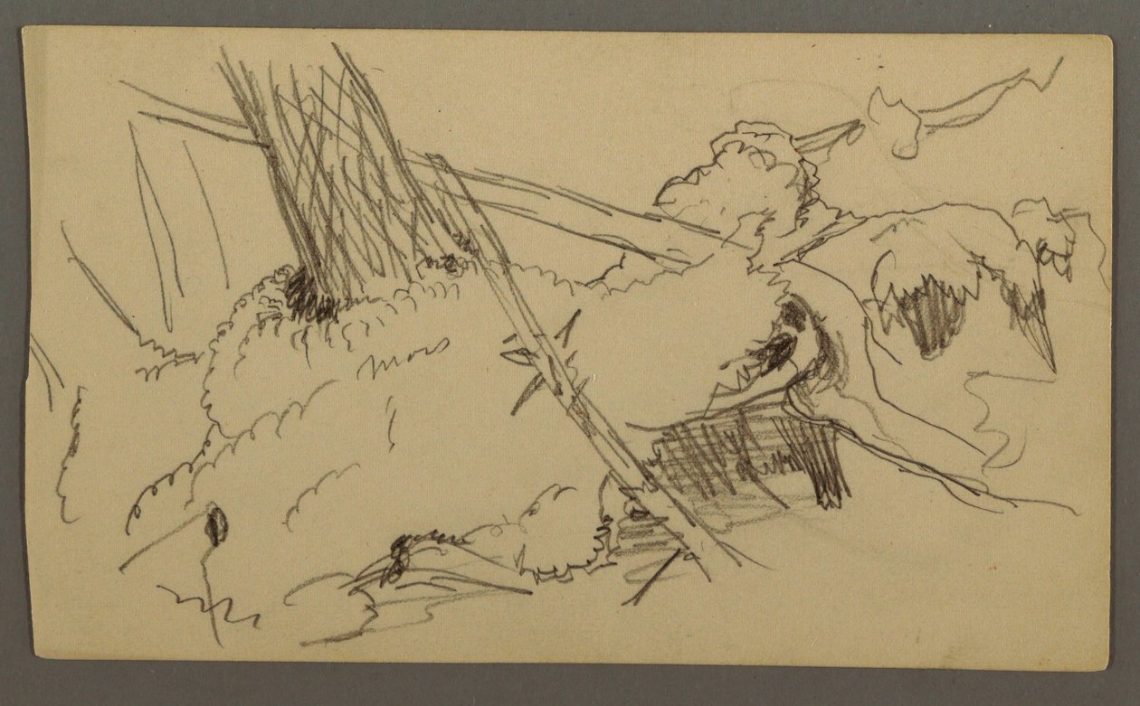 绘图，树基，巨石，可能创作于 1877 年 作者 弗雷德里克·埃德温·丘奇