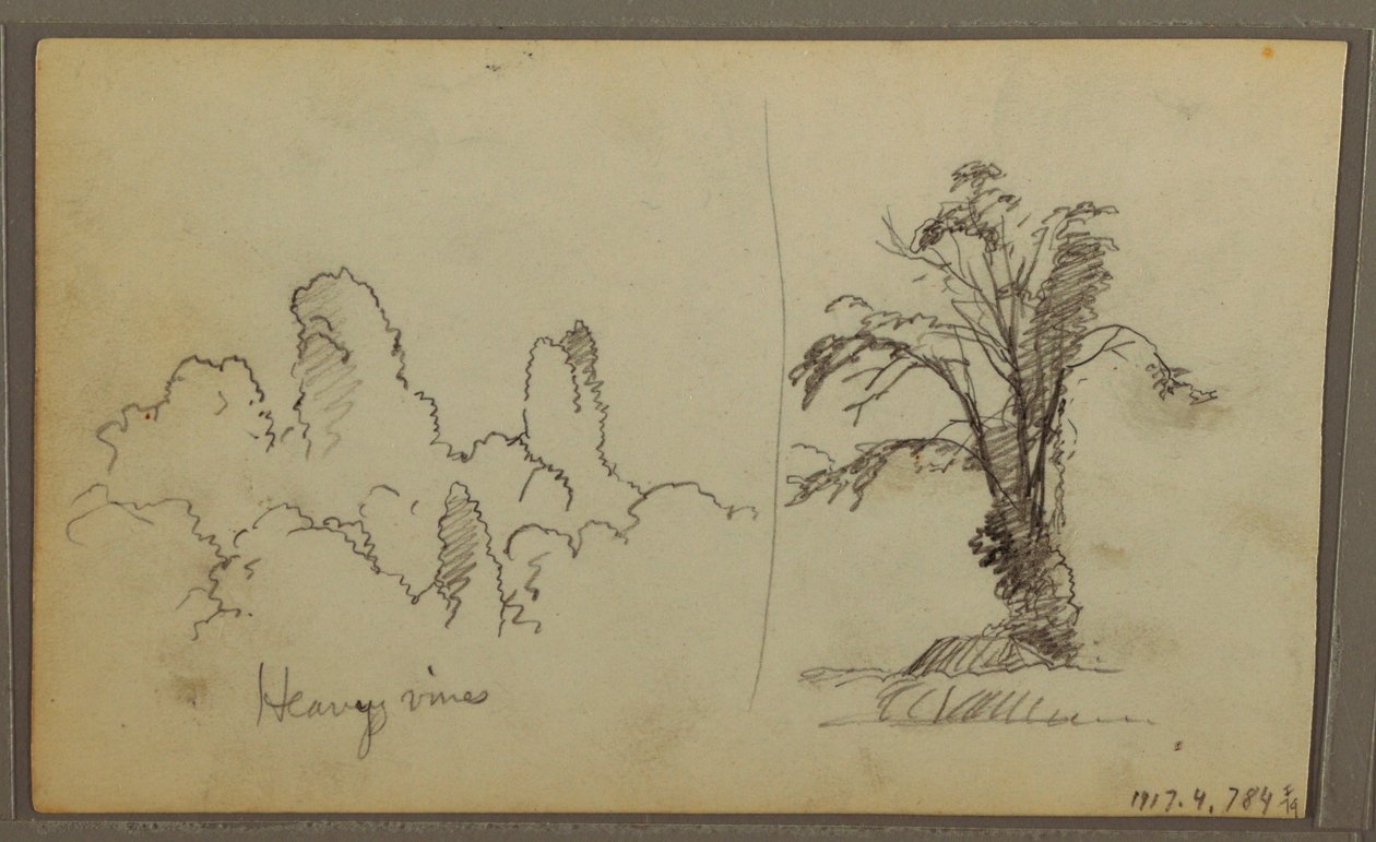 素描，比雷兹，"巴拿马湾的岩石"；背面："沉重的藤蔓"，1857 年 5 月 15 日 作者 弗雷德里克·埃德温·丘奇