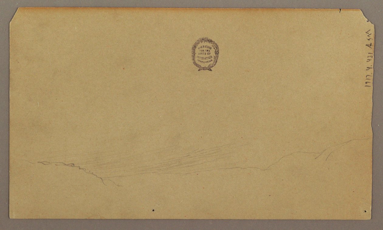 素描，植物素描，1865 年 8 月 作者 弗雷德里克·埃德温·丘奇