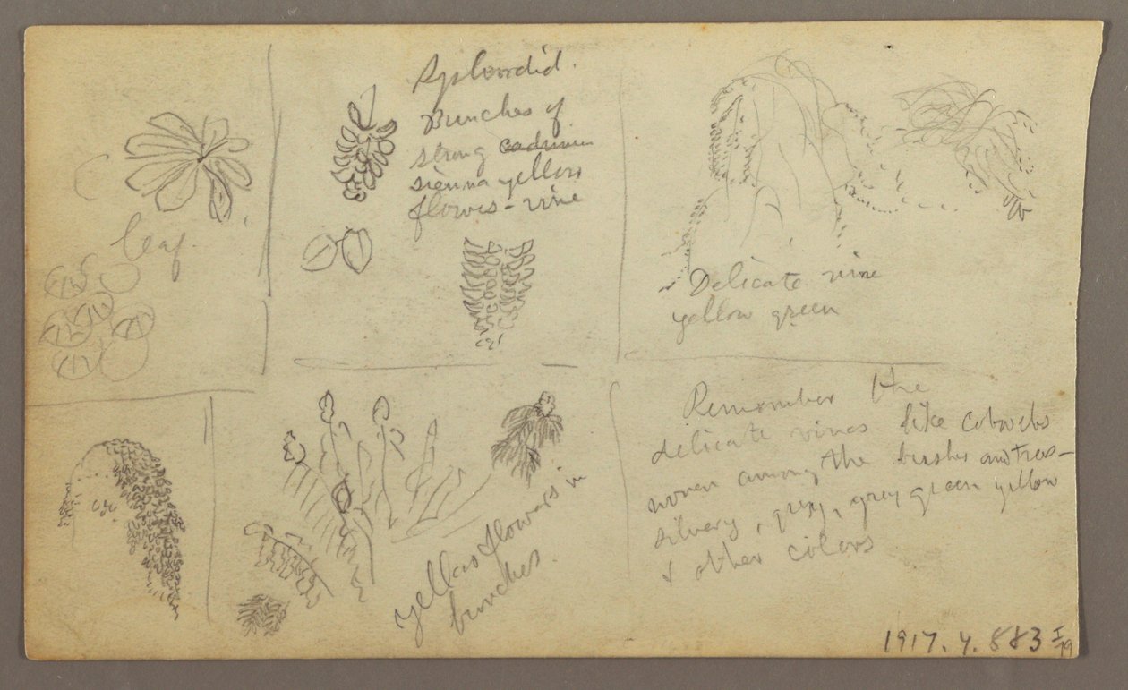 素描，植物素描，厄瓜多尔或哥伦比亚；背面：植物素描，1857 年 作者 弗雷德里克·埃德温·丘奇