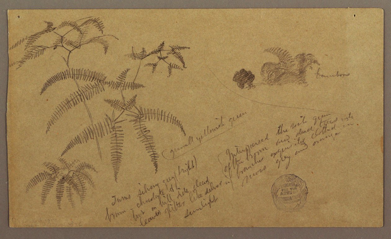 素描，植物素描，1865 年 5 月至 8 月 作者 弗雷德里克·埃德温·丘奇