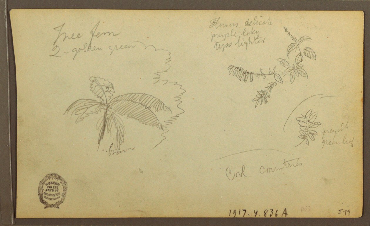 素描，植物素描；背面：植物素描，1857 年 作者 弗雷德里克·埃德温·丘奇