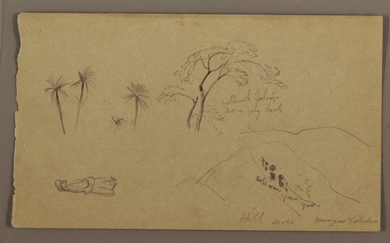 素描、植物素描、人物，1865 年 5 月至 8 月 作者 弗雷德里克·埃德温·丘奇