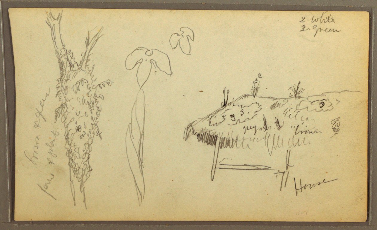素描，植物素描，房屋；植物素描，1857 年 作者 弗雷德里克·埃德温·丘奇
