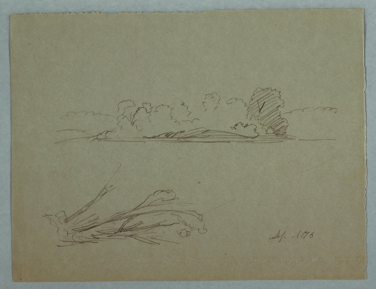 素描，植物速写：风景，岸边的树木，1876 年 9 月 作者 弗雷德里克·埃德温·丘奇