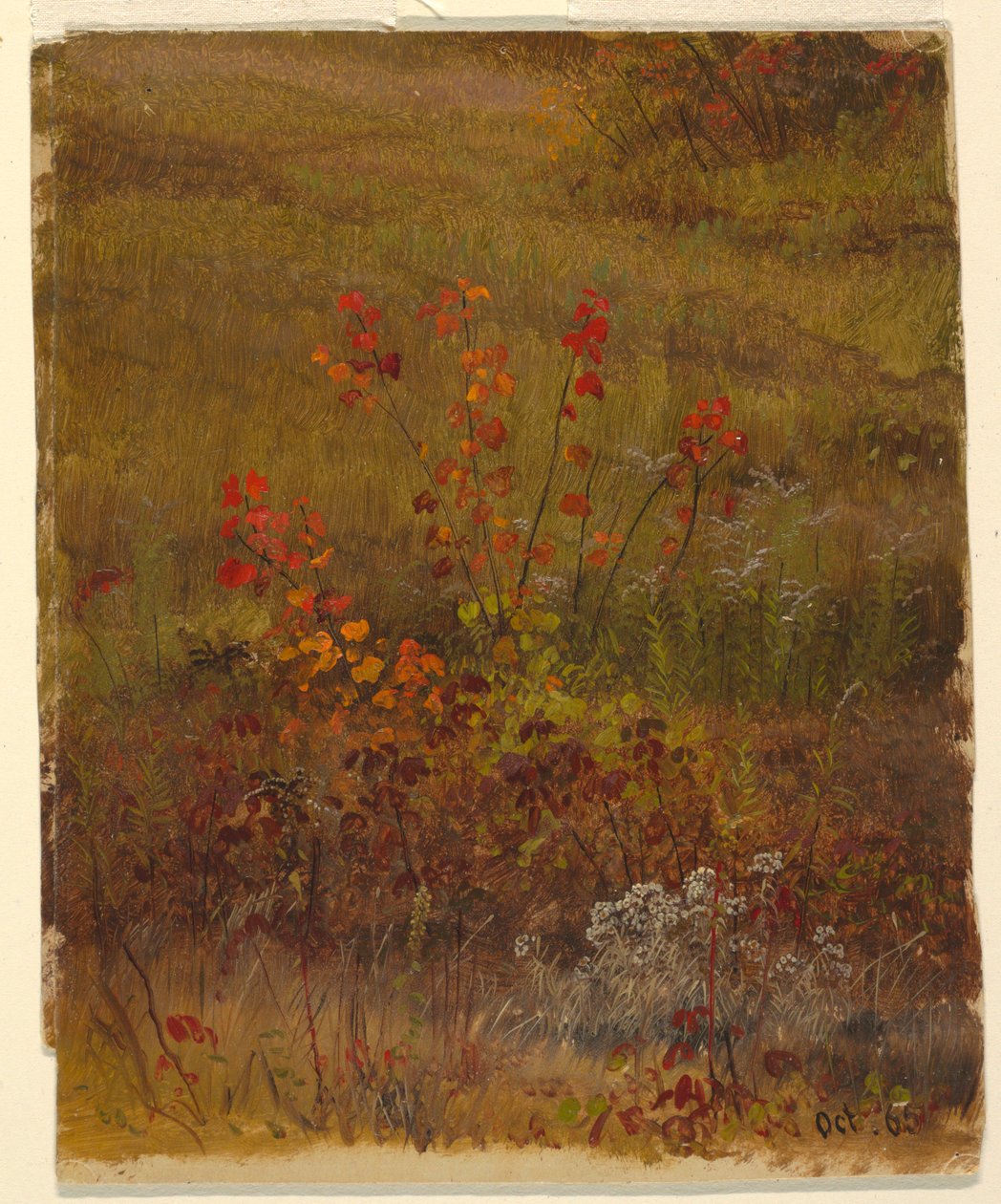 素描，植物研究，1865 年 10 月 作者 弗雷德里克·埃德温·丘奇