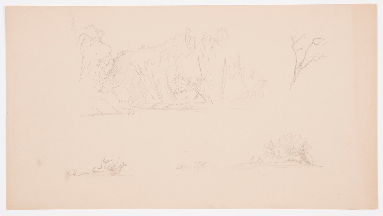 素描，植物素描：树，岸边的树，1876 年 9 月 作者 弗雷德里克·埃德温·丘奇