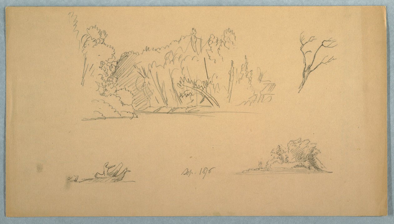 素描，植物素描：树，岸边的树，1876 年 9 月 作者 弗雷德里克·埃德温·丘奇