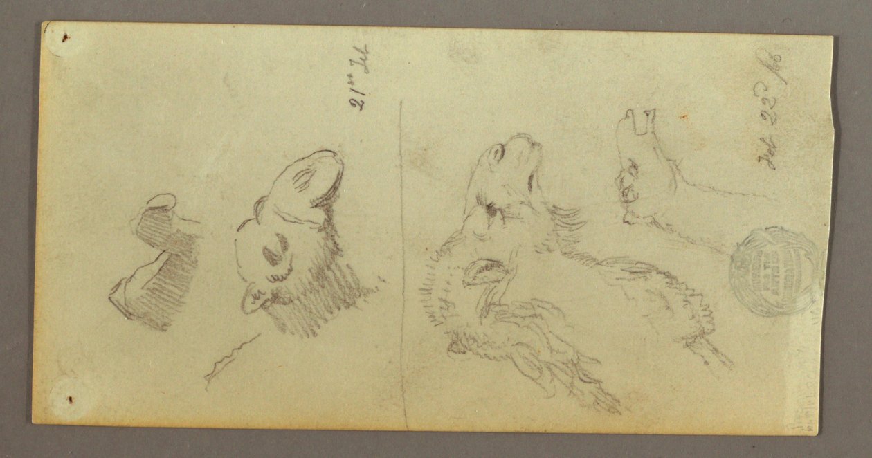 素描，骆驼研究，1868 年 2 月 21-22 日 作者 弗雷德里克·埃德温·丘奇