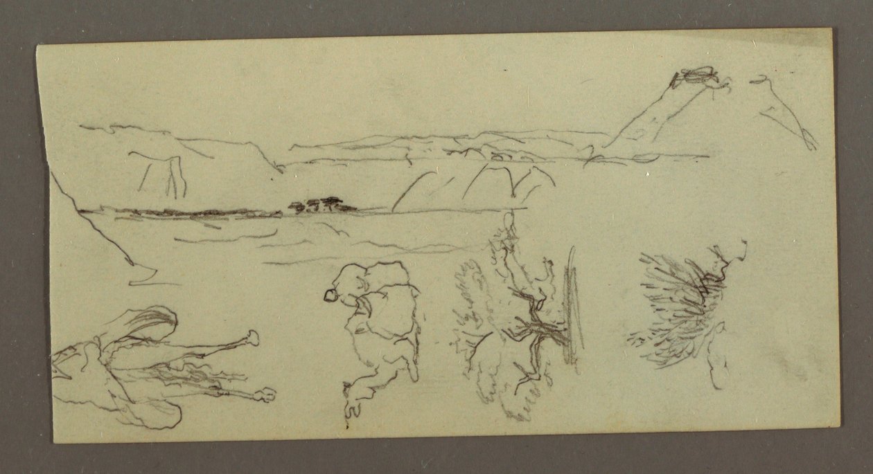 素描，骆驼蹄、树丛和山谷，可能创作于 1868 年 作者 弗雷德里克·埃德温·丘奇