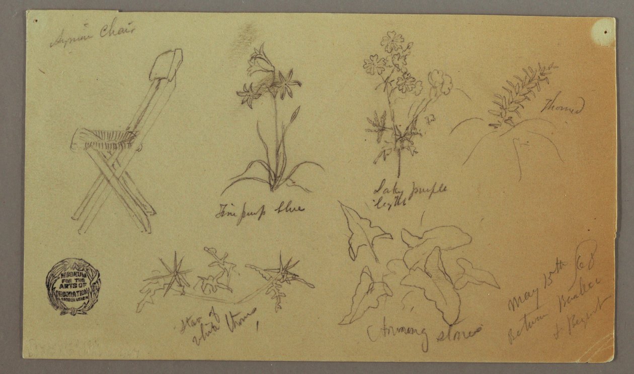 素描，椅子和植物研究，1868 年 5 月 15 日 作者 弗雷德里克·埃德温·丘奇