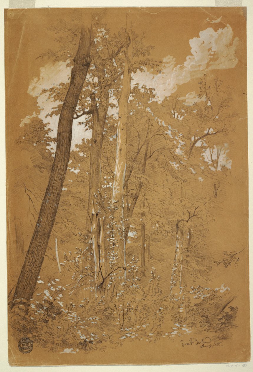 绘画，纽约尼亚加拉河山羊岛上的栗树，1858年8月 作者 弗雷德里克·埃德温·丘奇
