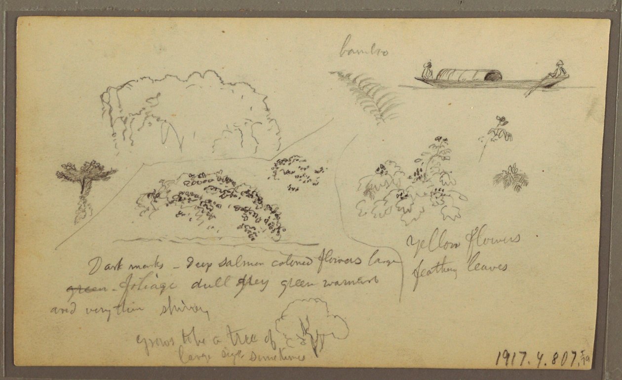 素描，教堂，塔楼；背面：独木舟上的人物，植物素描，1857 年 作者 弗雷德里克·埃德温·丘奇