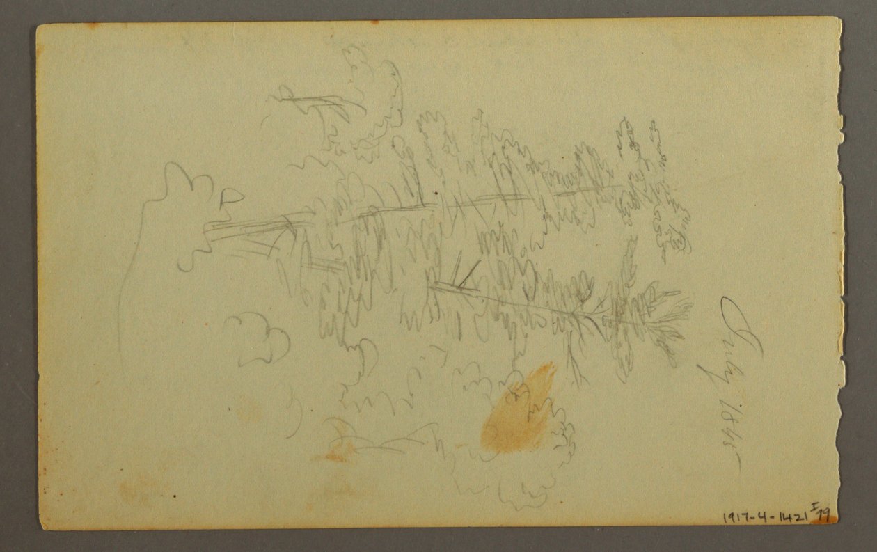 素描，云彩研究，1845 年 作者 弗雷德里克·埃德温·丘奇