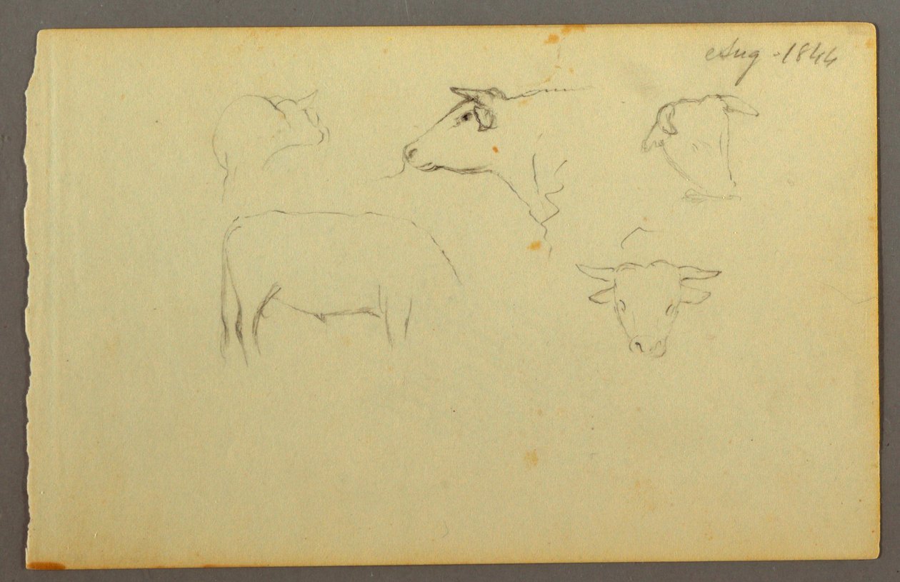 绘画，奶牛，1844 年 作者 弗雷德里克·埃德温·丘奇