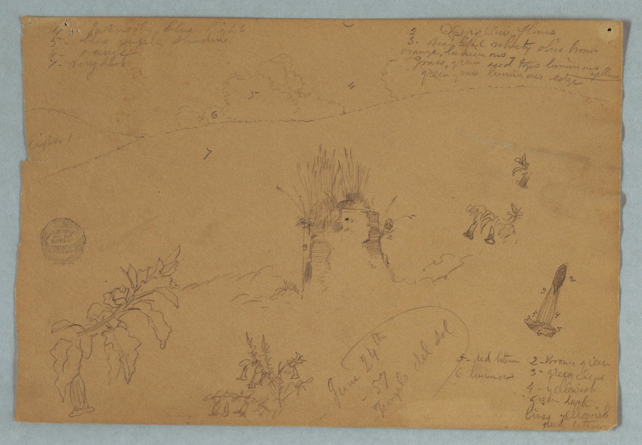 素描，素描  厄瓜多尔基多附近的植物和云彩素描，1857 年 6 月 24 日 作者 弗雷德里克·埃德温·丘奇