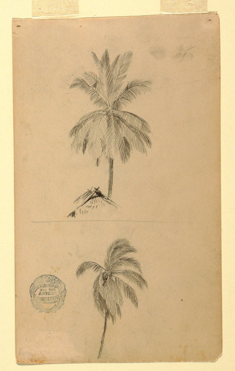 绘画，素描。  两幅素描  棕榈树，1857 年 作者 弗雷德里克·埃德温·丘奇