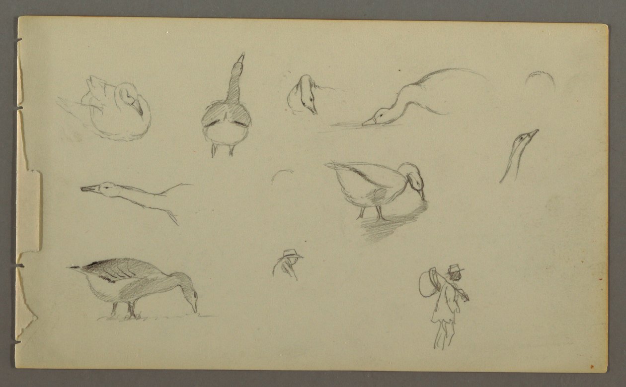 素描，八幅鸭子研究，两幅人物素描，可能创作于 1857-58 年 作者 弗雷德里克·埃德温·丘奇