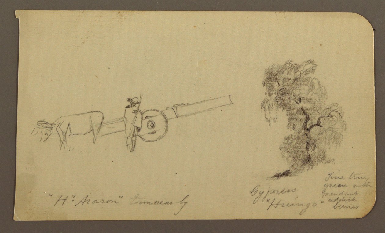 素描，人物和牛车，柏树；背面：奎泽奥湖对面的景色，1885 年 1 月 作者 弗雷德里克·埃德温·丘奇
