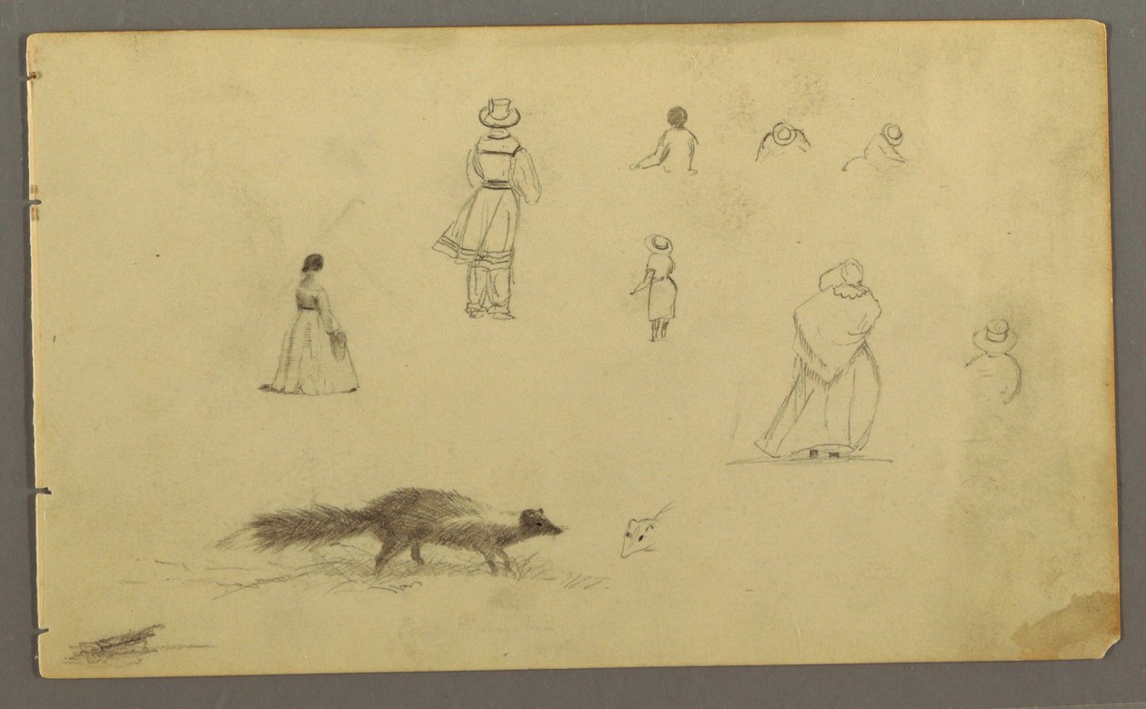 素描，从背面看人物研究，一只臭鼬，可能创作于 1857-58 年 作者 弗雷德里克·埃德温·丘奇