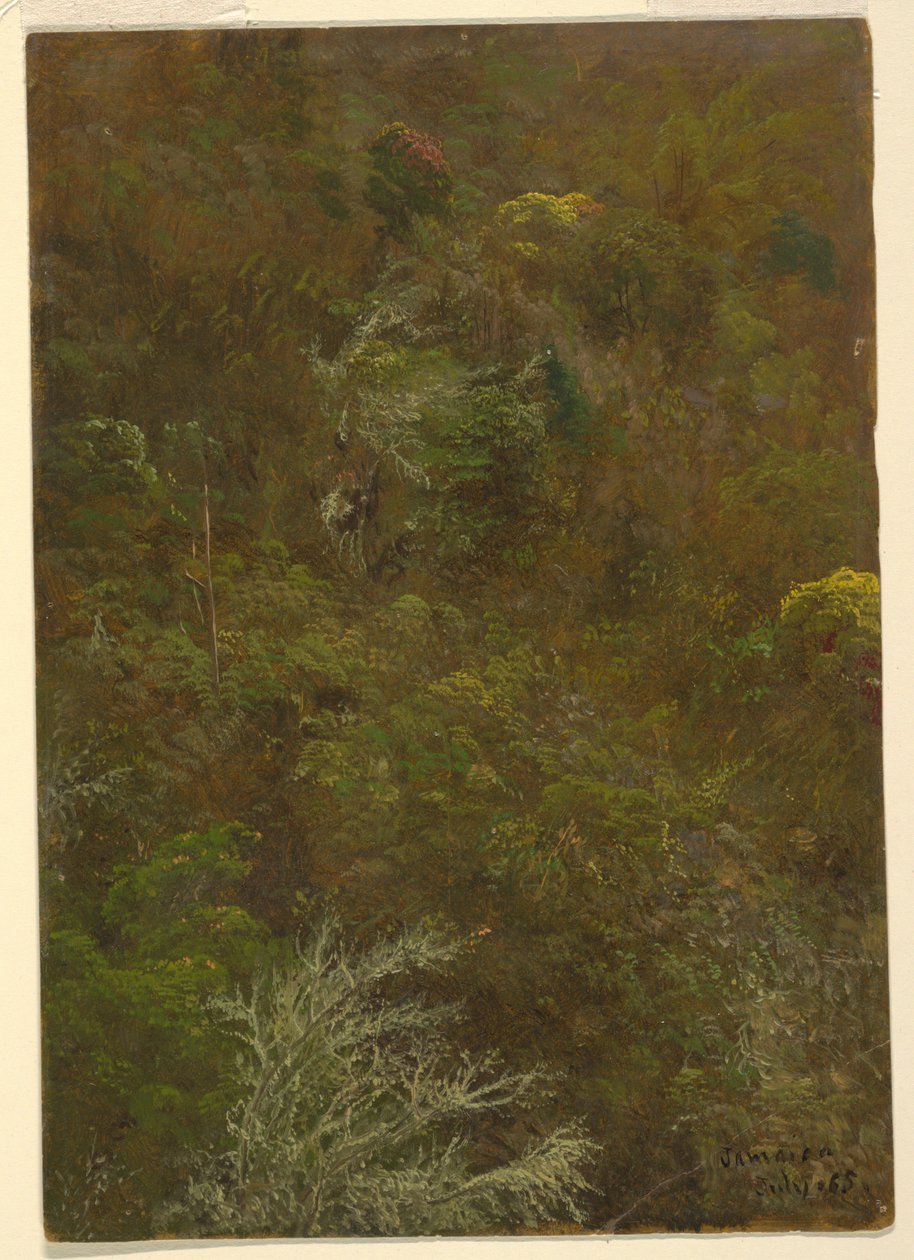 绘图，长满灌木和树木的山坡，1865 年 7 月 作者 弗雷德里克·埃德温·丘奇