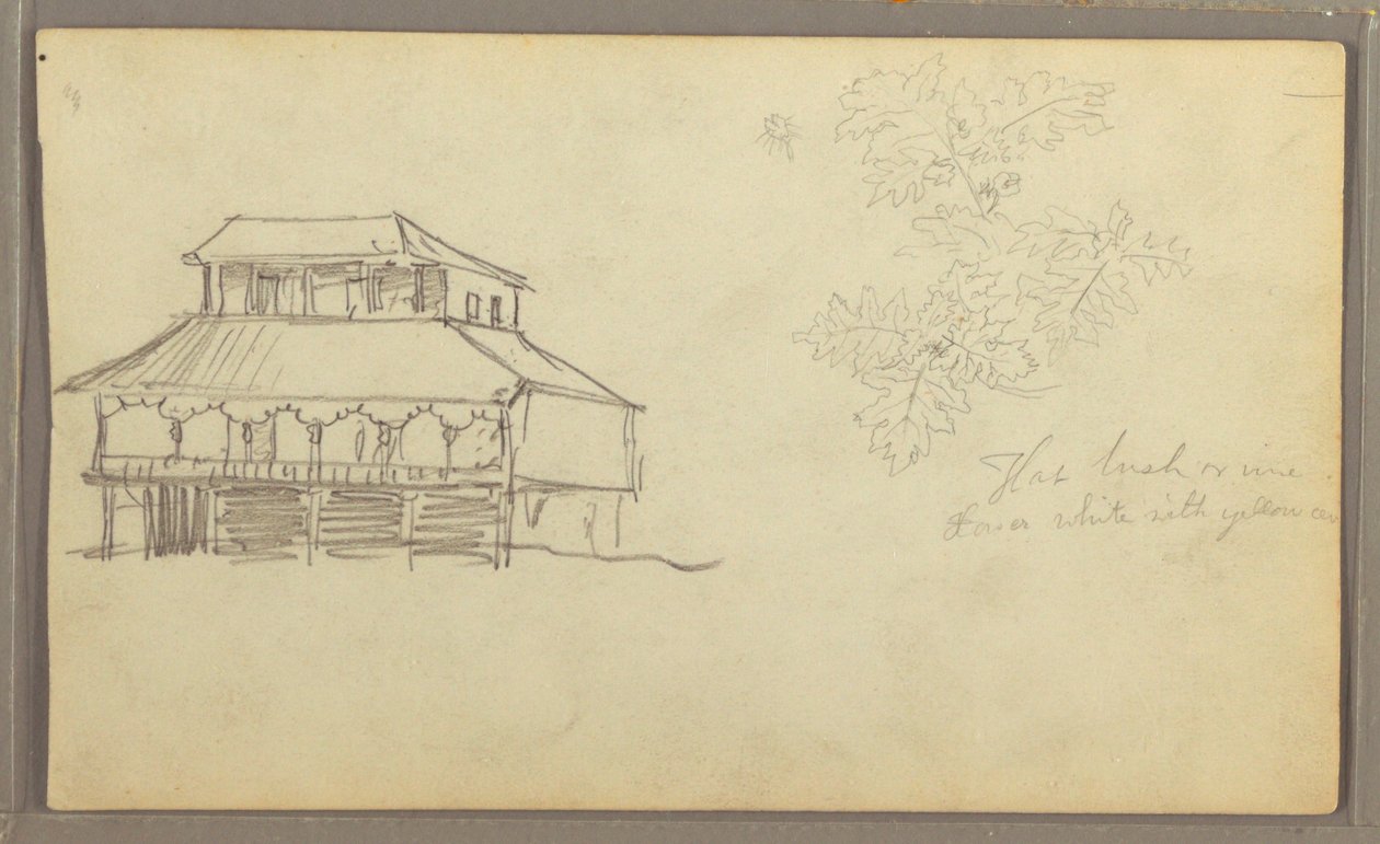 素描，房屋，植物素描，厄瓜多尔或哥伦比亚，1857 年 作者 弗雷德里克·埃德温·丘奇