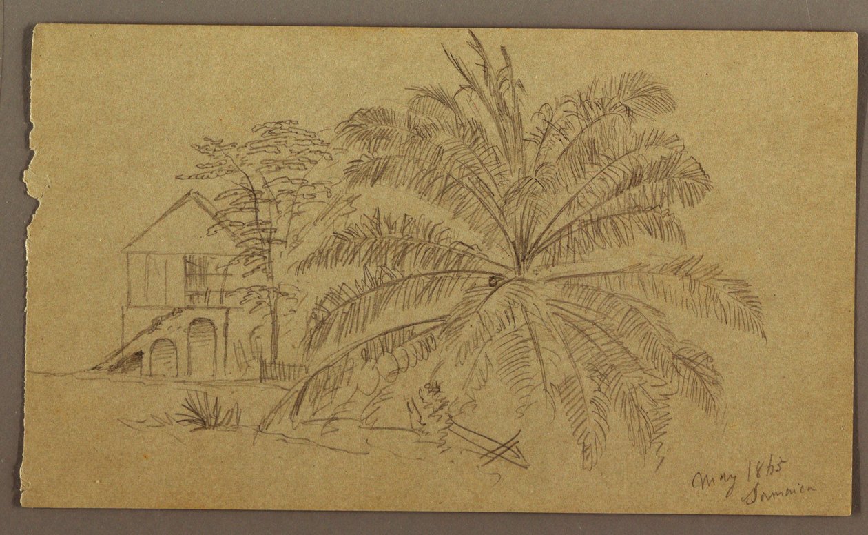 绘图，房屋和蕨类植物，1865 年 5 月 作者 弗雷德里克·埃德温·丘奇