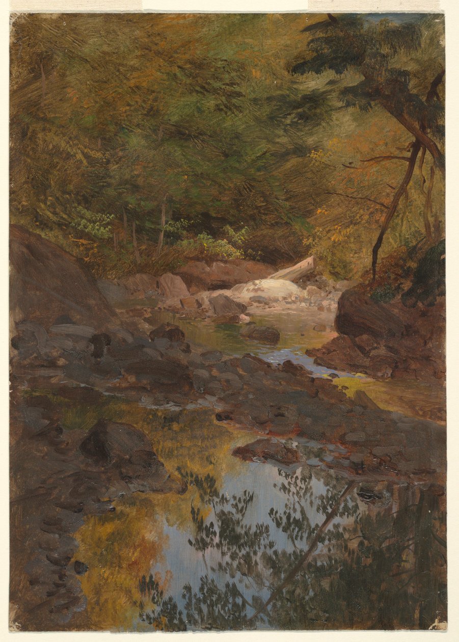 绘画，《在新英格兰的森林里》，1855-65 年 作者 弗雷德里克·埃德温·丘奇