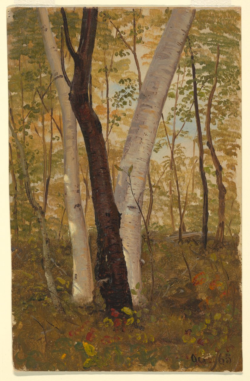 绘画，1865 年 10 月，纽约哈德逊的树林里 作者 弗雷德里克·埃德温·丘奇
