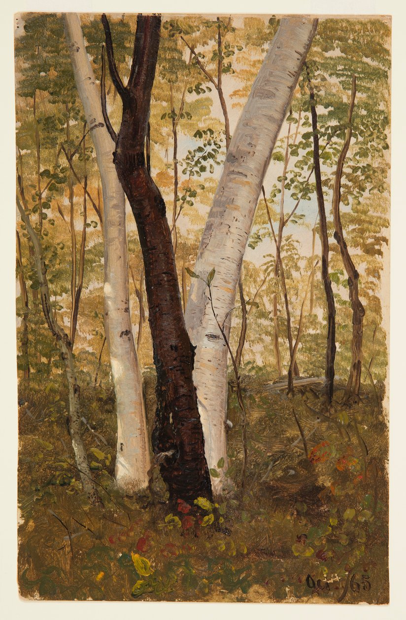 绘画，1865 年 10 月，纽约哈德逊的树林里 作者 弗雷德里克·埃德温·丘奇