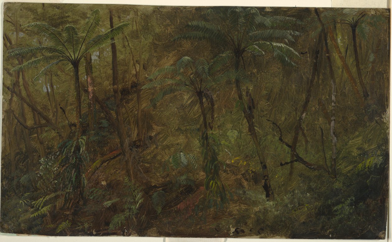 绘画，西印度群岛贾马西亚森林，1865 年 作者 弗雷德里克·埃德温·丘奇