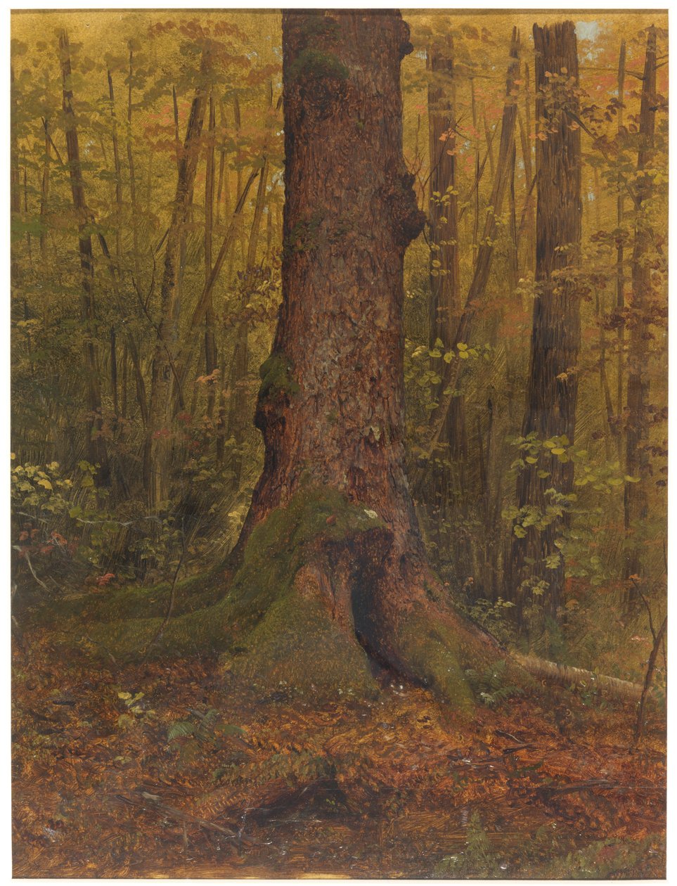 素描，在树林里，可能在缅因州，1850-60 年 作者 弗雷德里克·埃德温·丘奇
