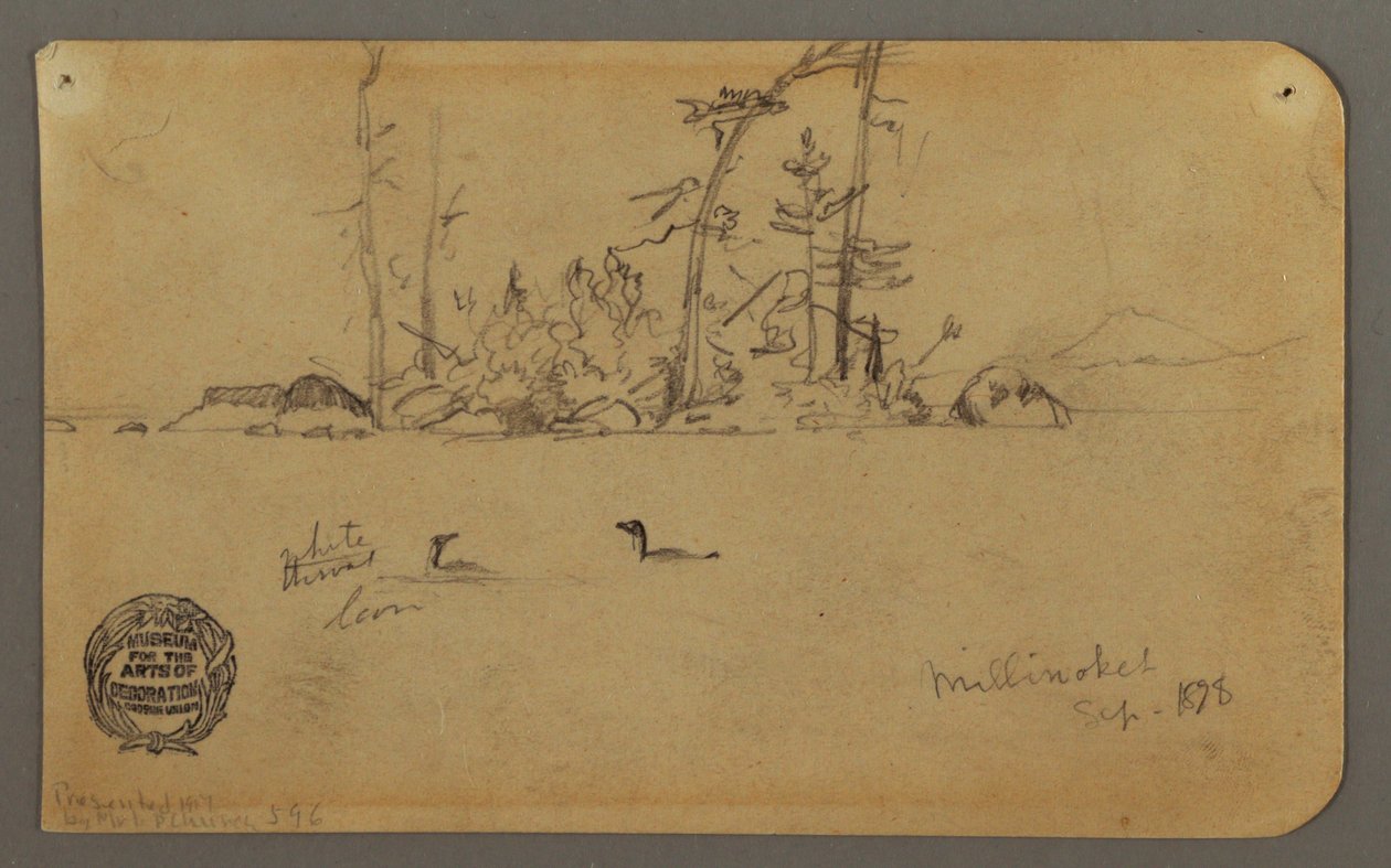 素描，岛屿，两只泥鳅，1878 年 作者 弗雷德里克·埃德温·丘奇