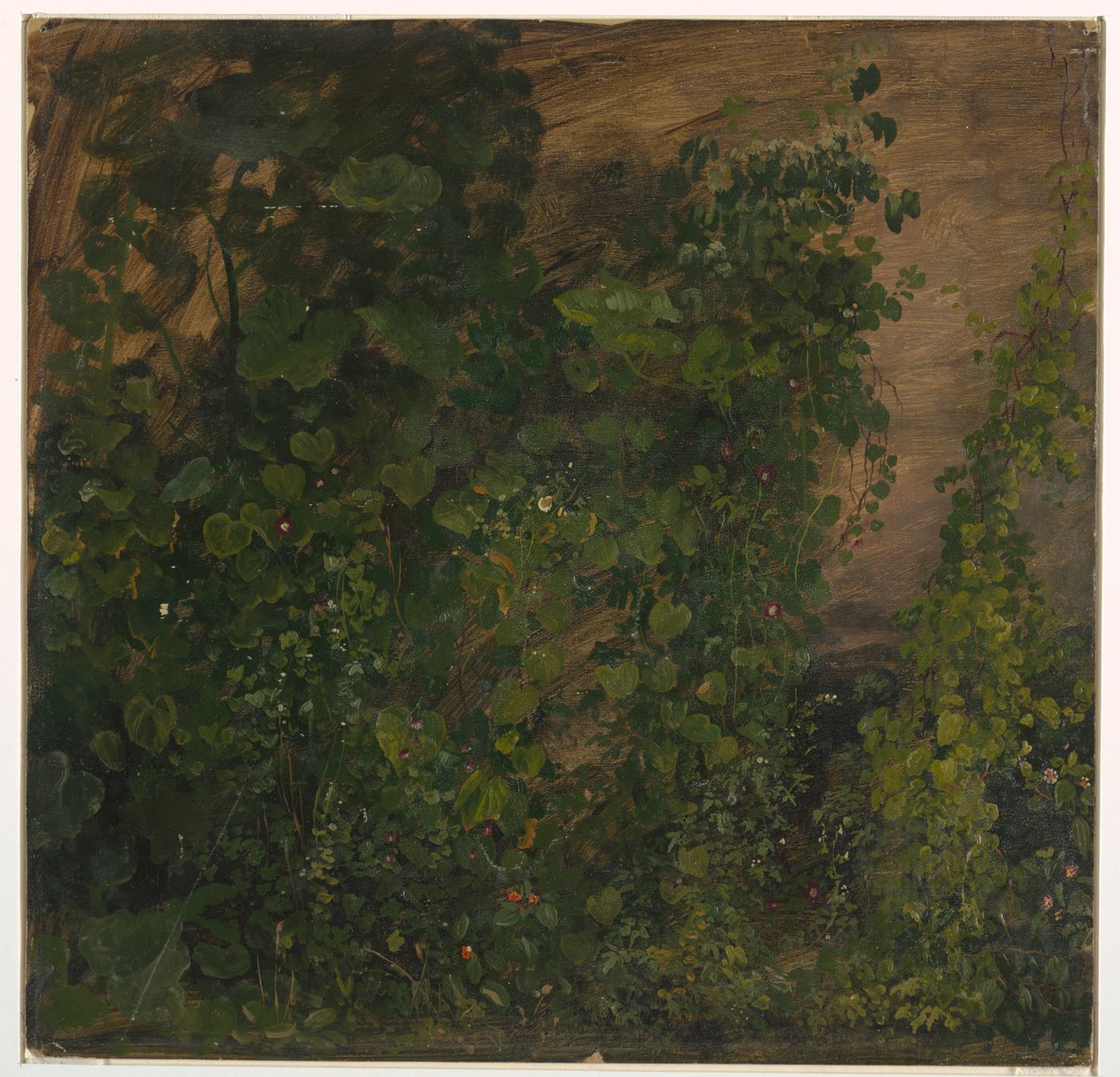 绘画，丛林植被，1865年 作者 弗雷德里克·埃德温·丘奇
