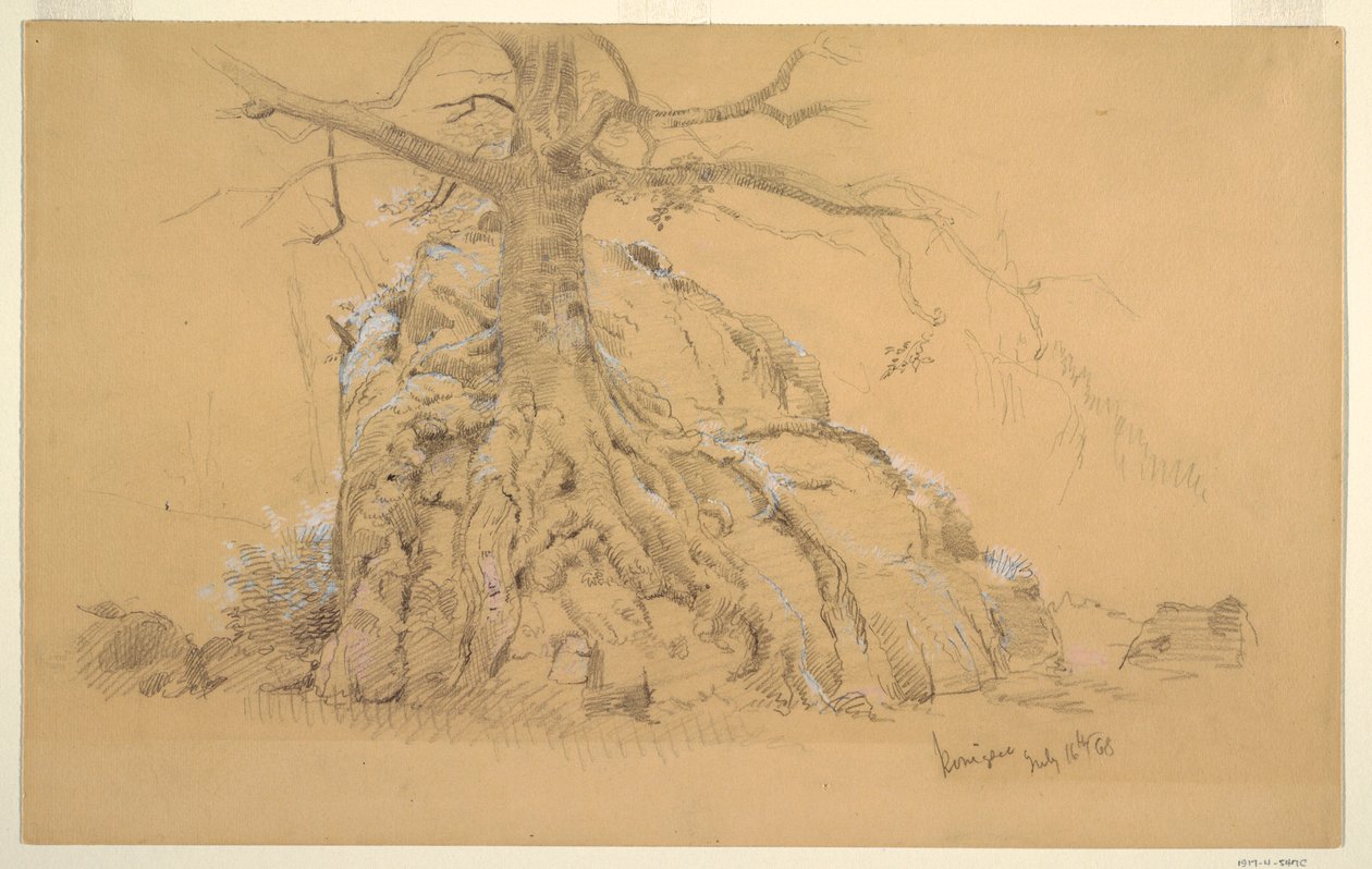 绘画，柯尼斯湖树，1868 年 7 月 16 日 作者 弗雷德里克·埃德温·丘奇
