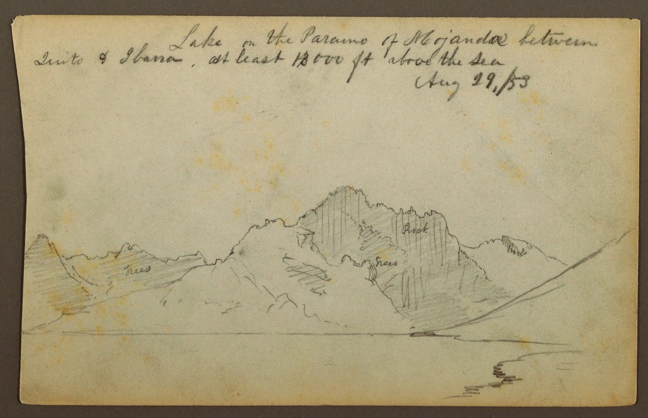 绘画，厄瓜多尔莫扬达沙漠湖泊，1853年8月29日 作者 弗雷德里克·埃德温·丘奇