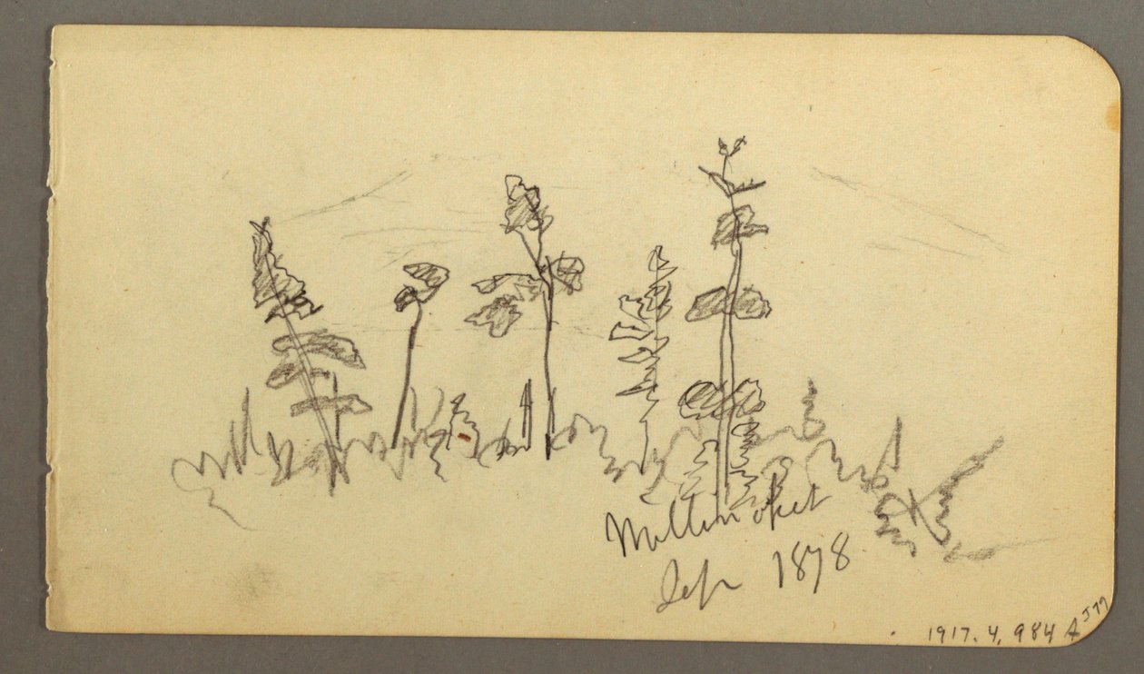 素描，向卡塔丁山望去的湖，1878 年 作者 弗雷德里克·埃德温·丘奇