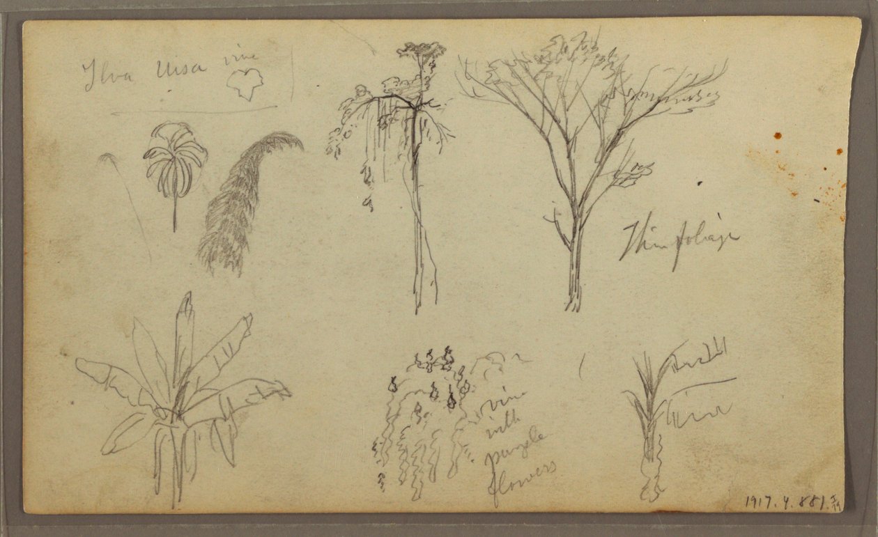 素描，风景，厄瓜多尔瓜亚基尔，1857年5月21日 作者 弗雷德里克·埃德温·丘奇