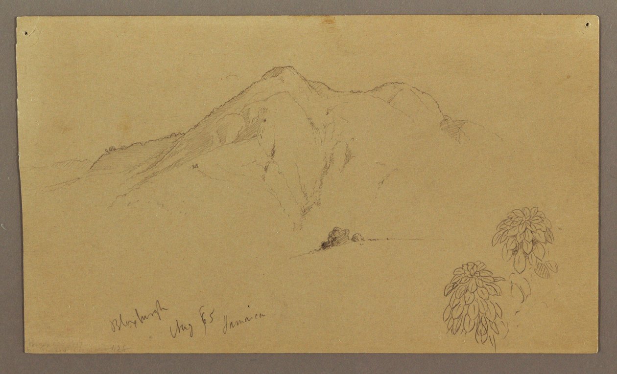 素描，风景，植物，布卢克斯堡，1865 年 8 月 作者 弗雷德里克·埃德温·丘奇