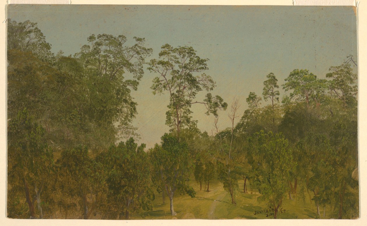 素描，风景，1865 年 7 月 作者 弗雷德里克·埃德温·丘奇