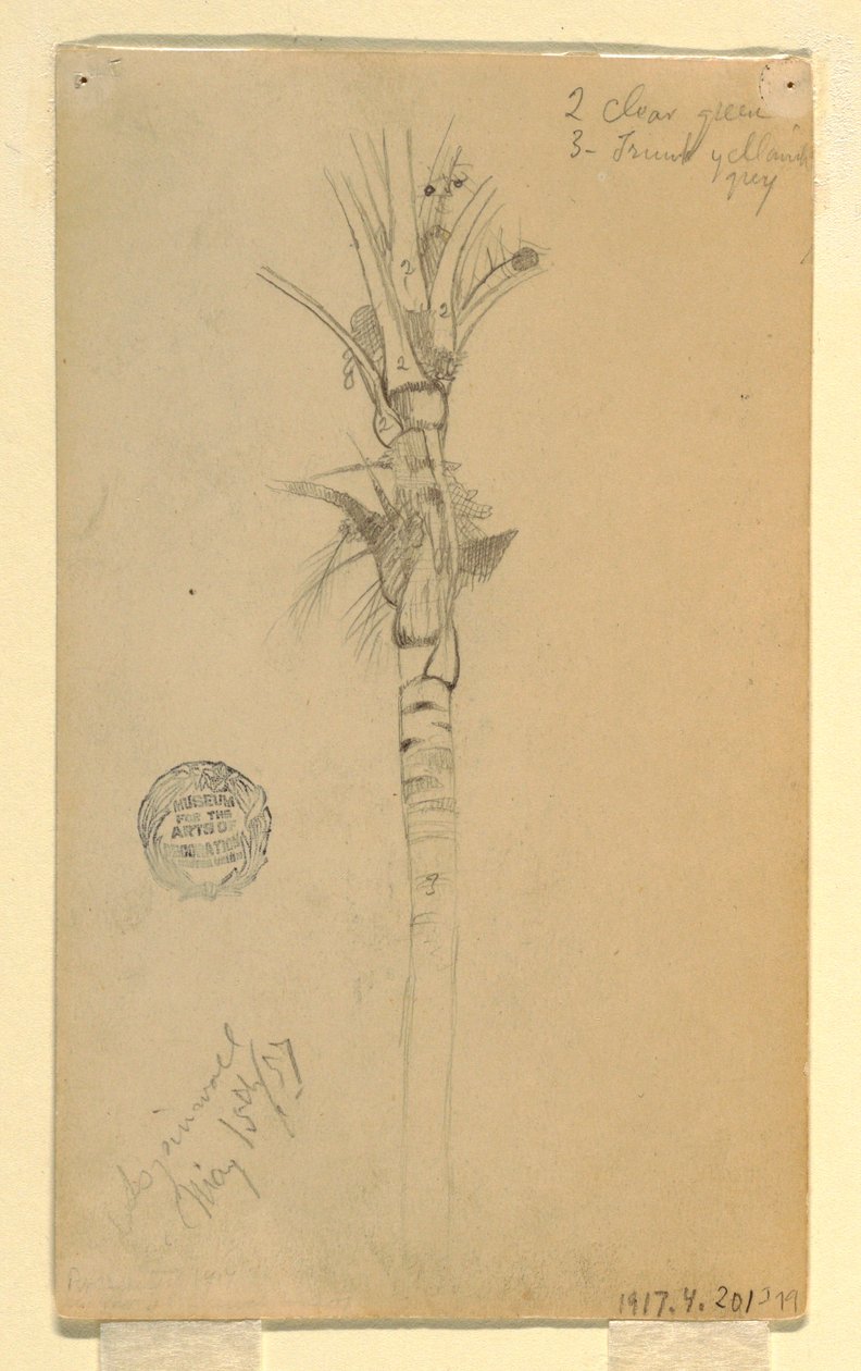 素描，棕榈树的叶子和茎干，1857 年 5 月 15 日，巴拿马阿斯平沃尔 作者 弗雷德里克·埃德温·丘奇