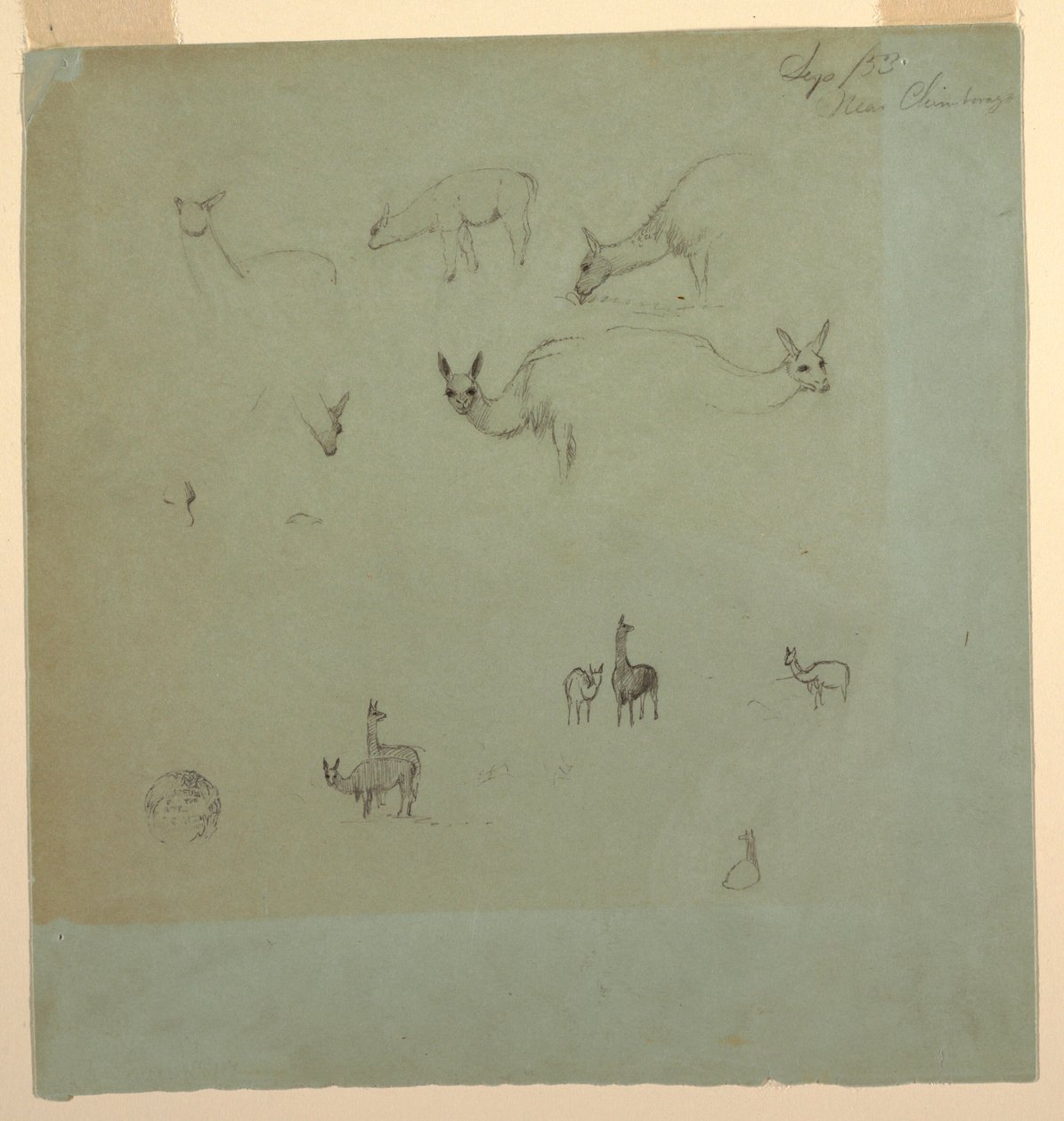 绘画，"钦博拉索 "附近的喇嘛，厄瓜多尔，1853 年 9 月 作者 弗雷德里克·埃德温·丘奇