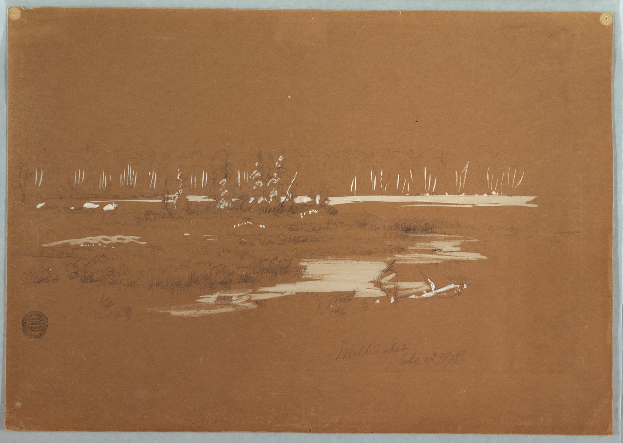 绘画，米利诺克附近的沼泽景观，1878 年 9 月 20 日 作者 弗雷德里克·埃德温·丘奇