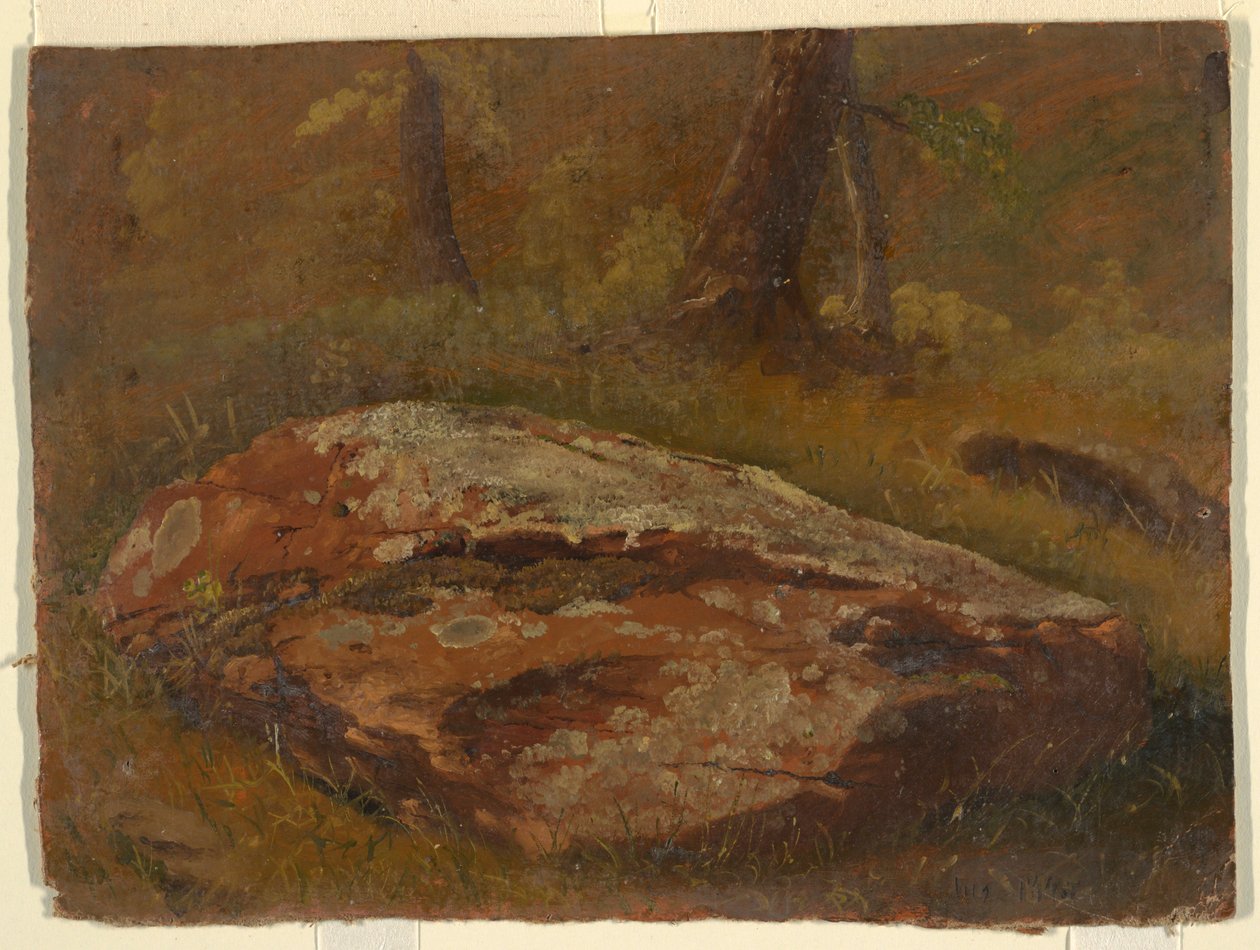 绘画，苔藓岩，1845 年 8 月 作者 弗雷德里克·埃德温·丘奇
