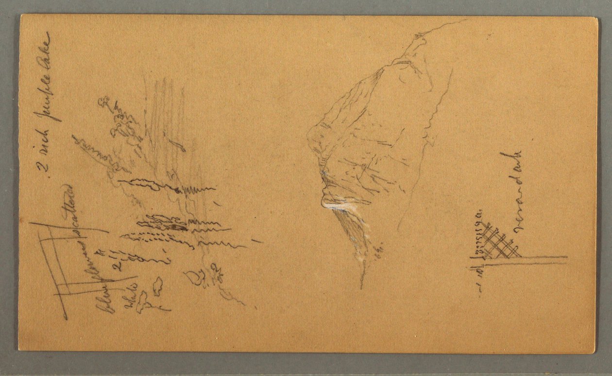 素描，山峰，水池边的植被，1868 年 作者 弗雷德里克·埃德温·丘奇