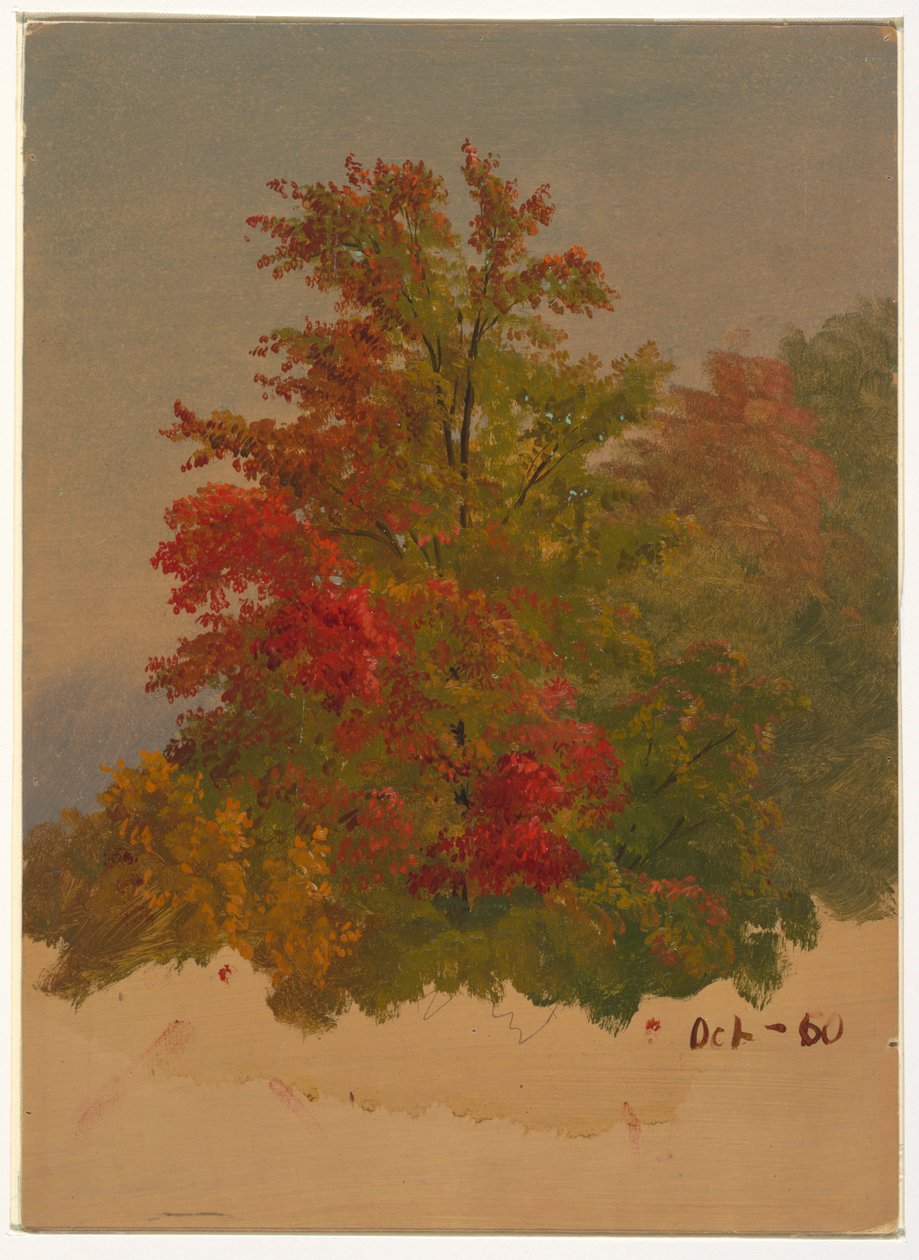 绘画，缅因州沙漠岛山，1860 年 10 月 作者 弗雷德里克·埃德温·丘奇